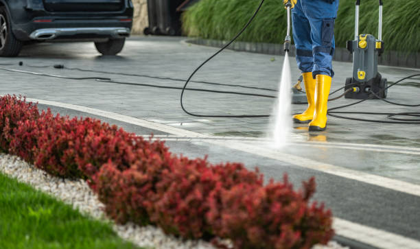 Best Roof Pressure Washing  in Savoy, IL
