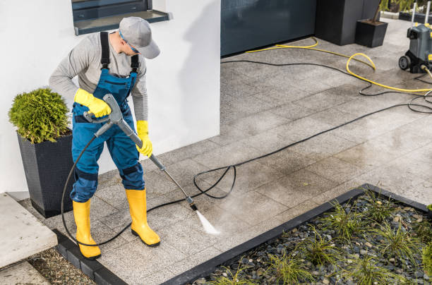 Best Deck Cleaning Services  in Savoy, IL
